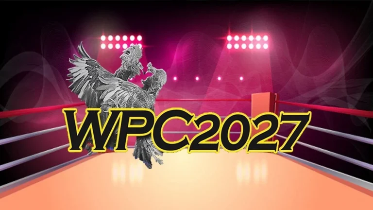 How To Download WPC2027 For Android