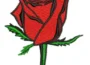 red rose embroidery design